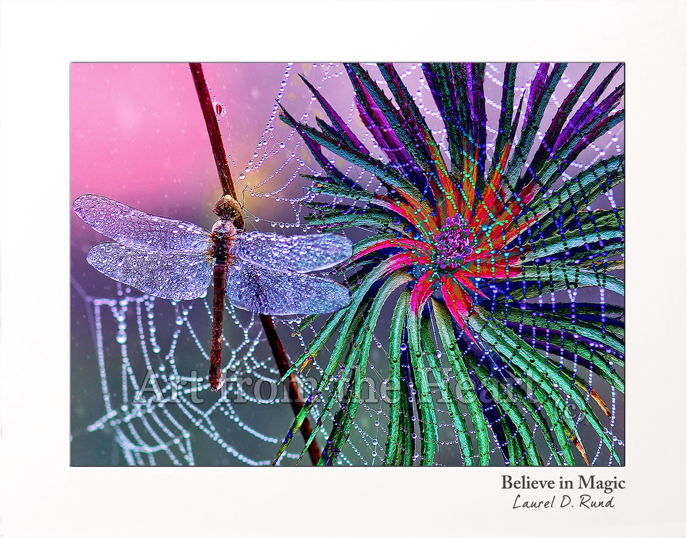 Believe in Magic